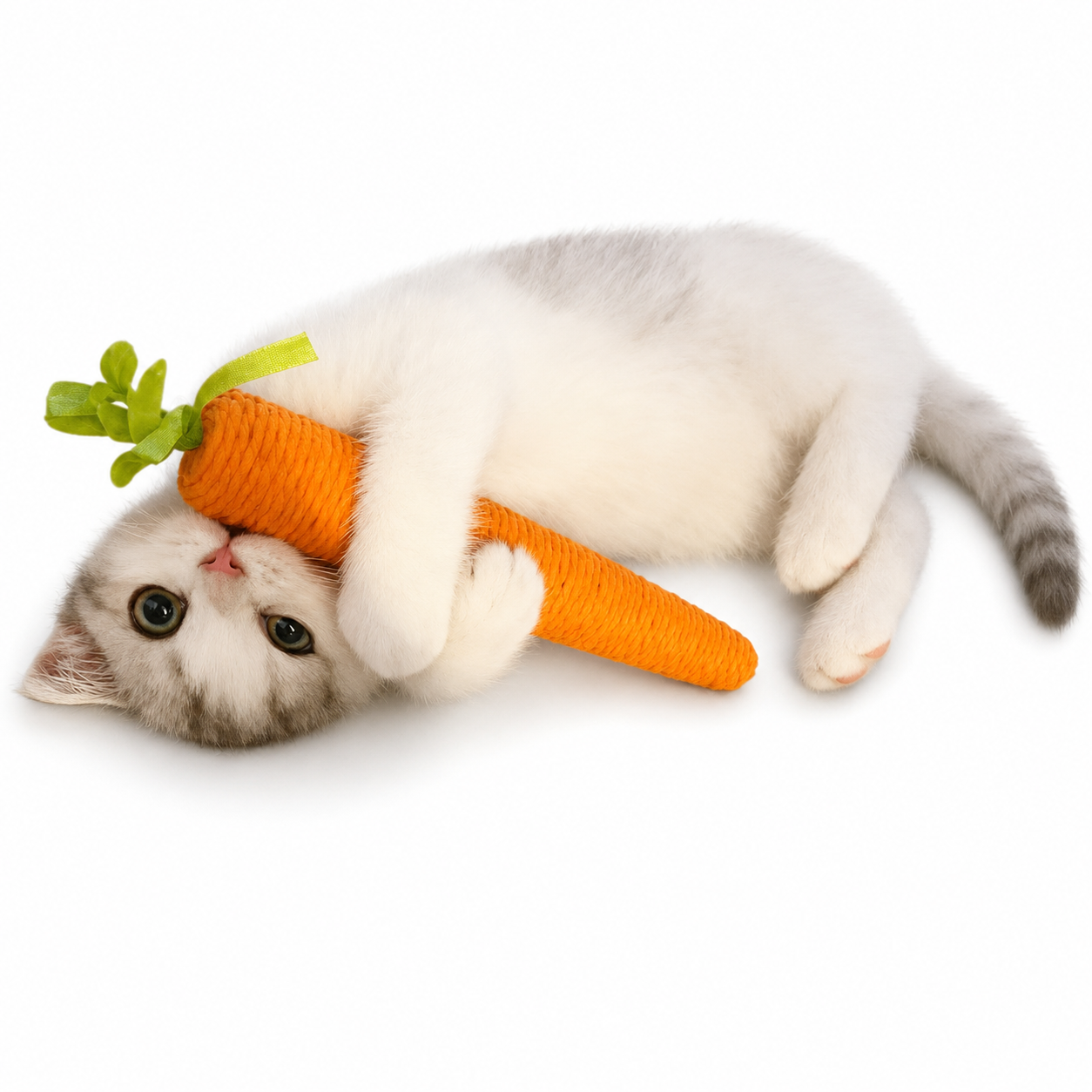 Carrot Cat Chew Toy