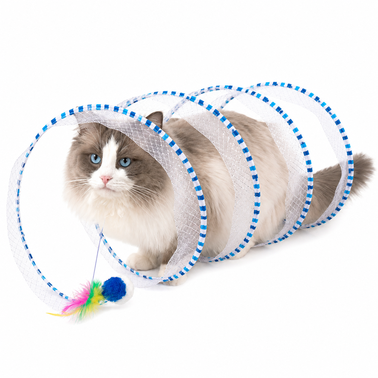 Foldable Cat Tunnel Toy
