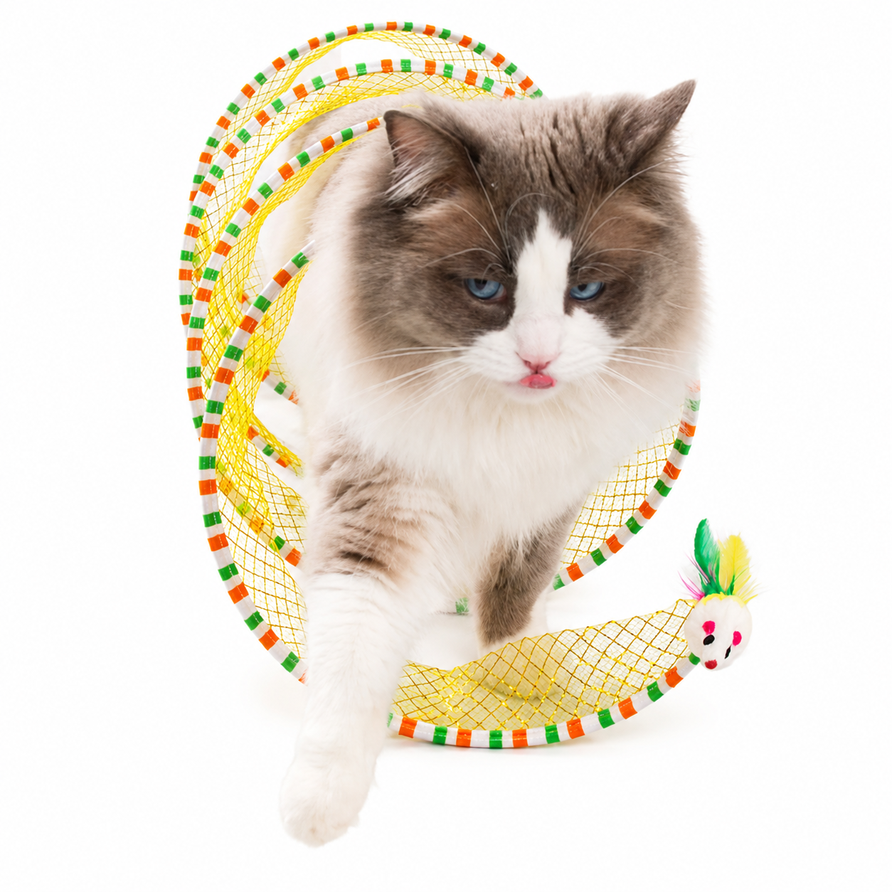 Foldable Cat Tunnel Toy